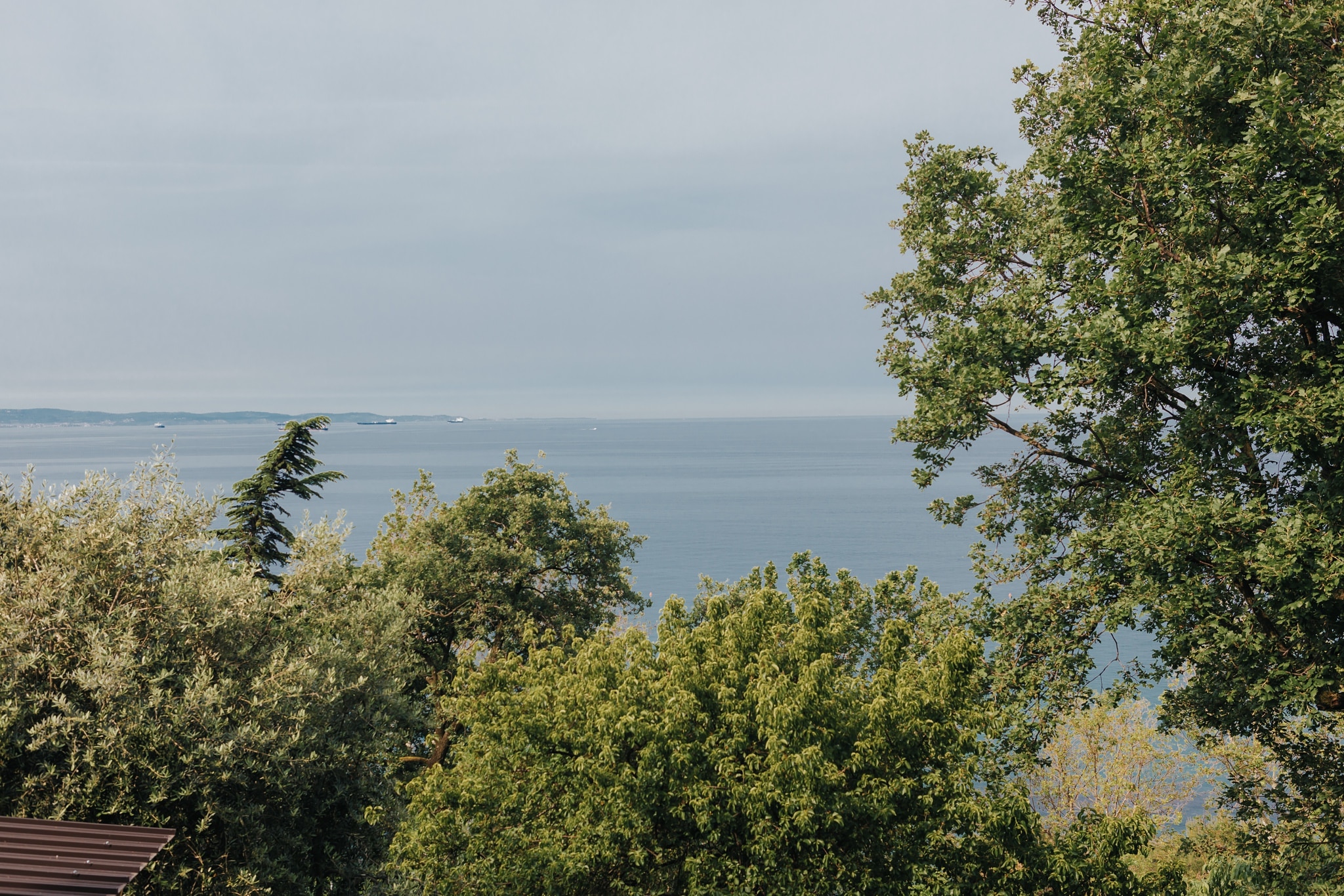 fotografo matrimonio trieste