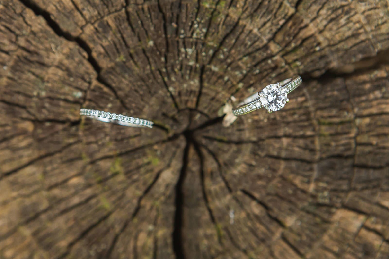 servizio fotografico prematrimoniale duino 