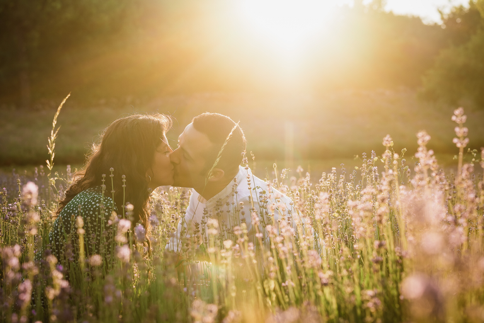 foto coppia lavanda slovenia prematrimoniali